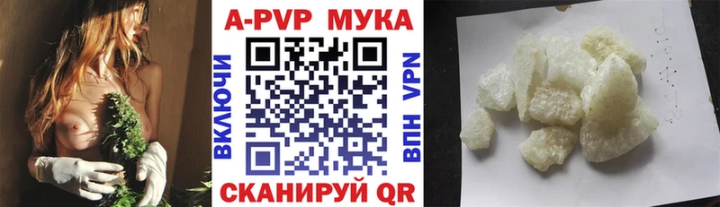 А ПВП СК КРИС  Великий Устюг 