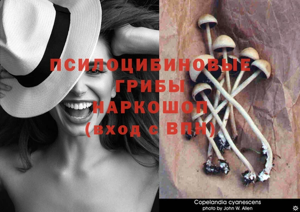 таблы Белокуриха