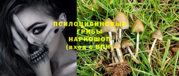 индика Бикин