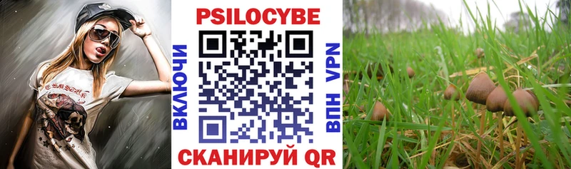 Псилоцибиновые грибы Psilocybine cubensis  купить наркотик  Великий Устюг 